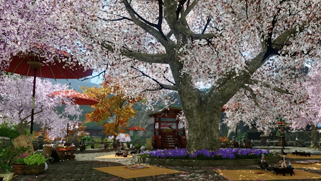 Cherry Blossom Season Has Arrived In Archeage