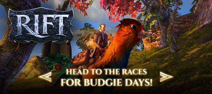 rift_budgie_race_2024